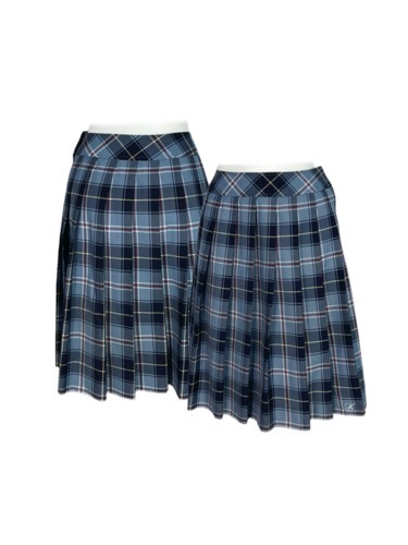 blue check tennis skirt